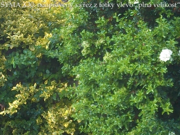 Výřez v "Plné velikosti" 12MP pixelů z původní fotografie
